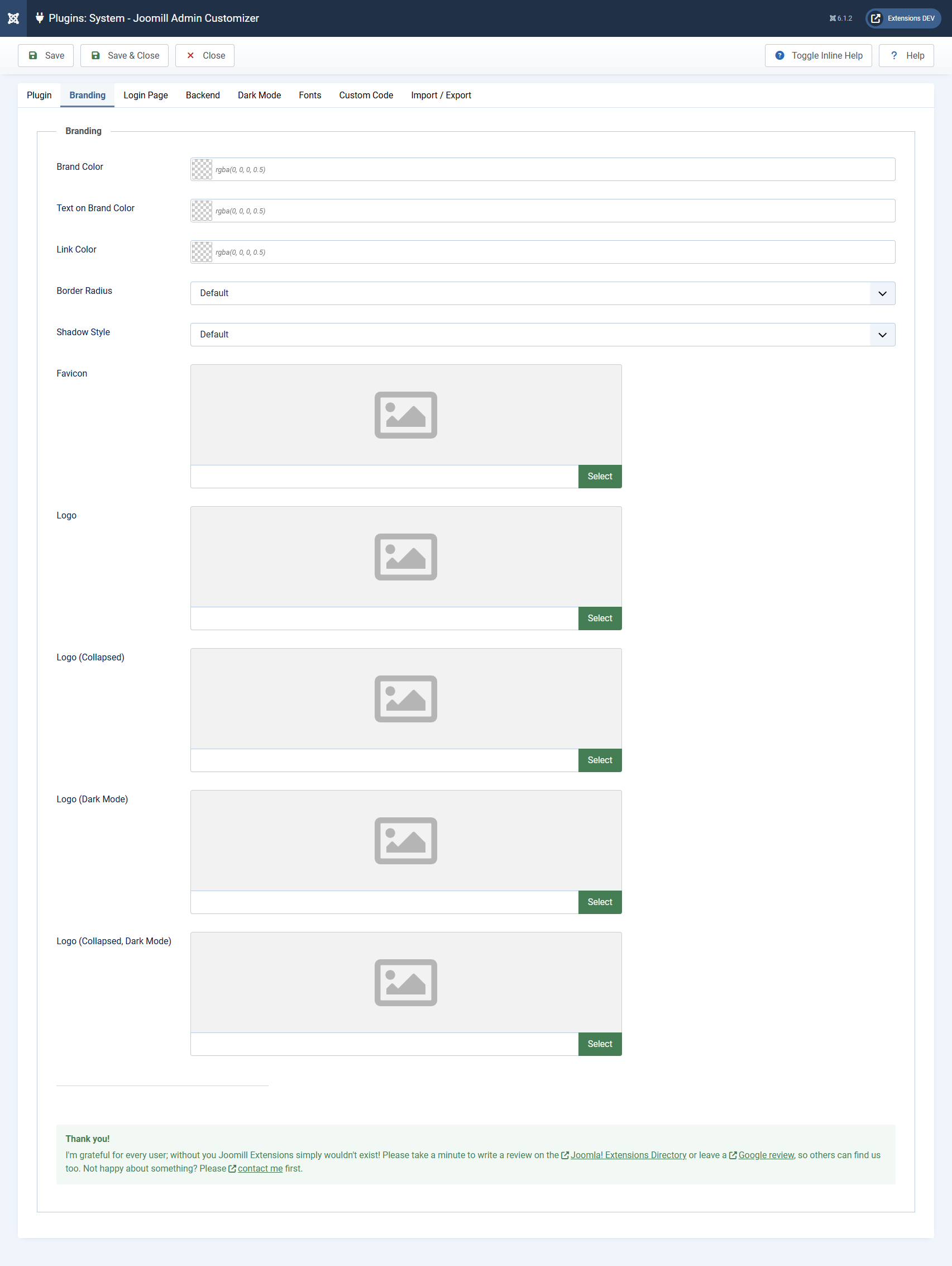 the full Branding tab with a brand color set