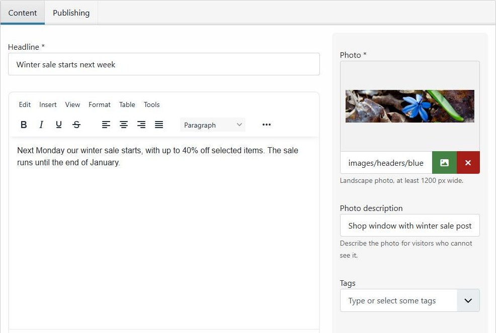 The edit form on the site, laid out by the News profile
