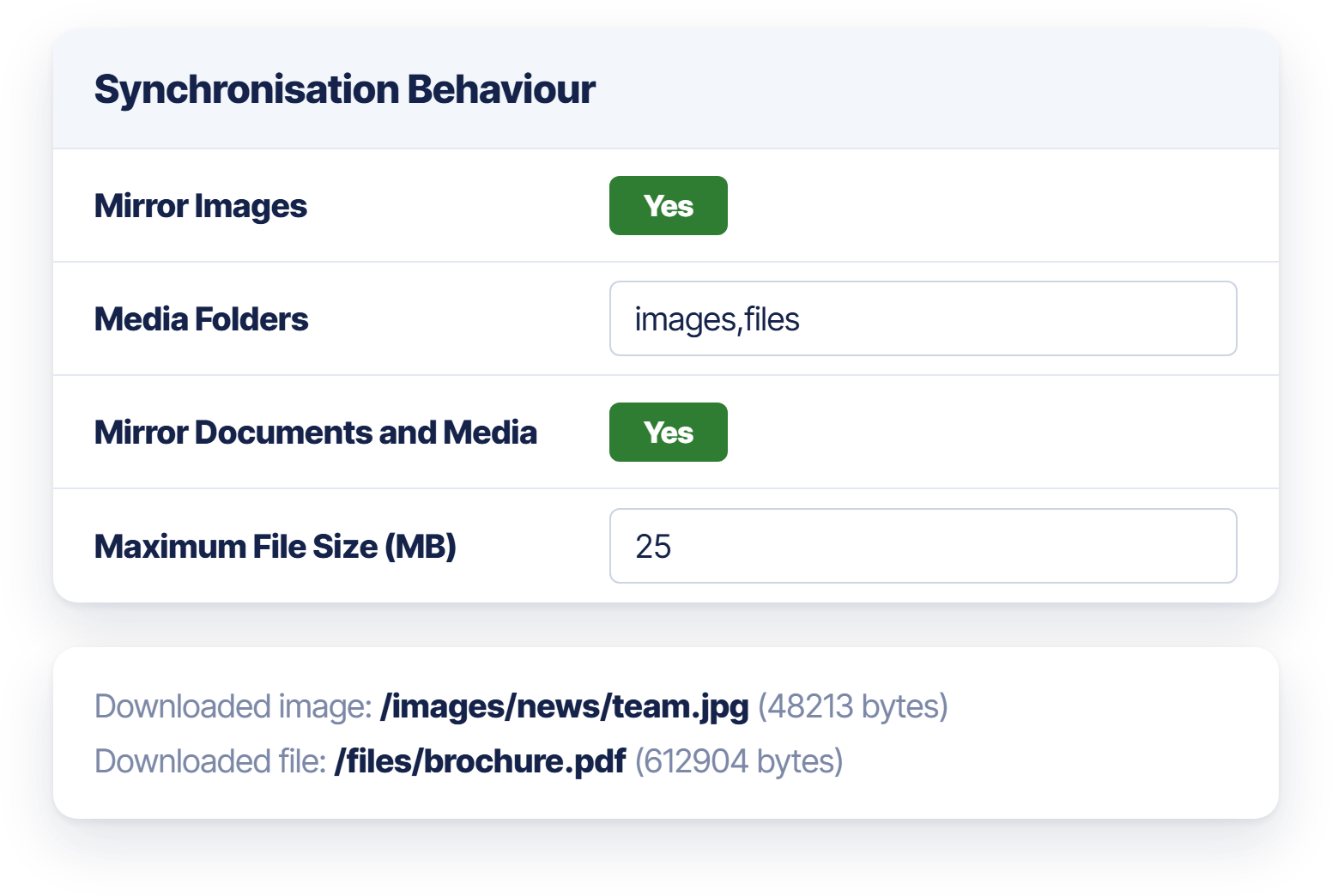 The settings Mirror Images, Media Folders, Mirror Documents and Media and Maximum File Size, with two log lines of downloaded files